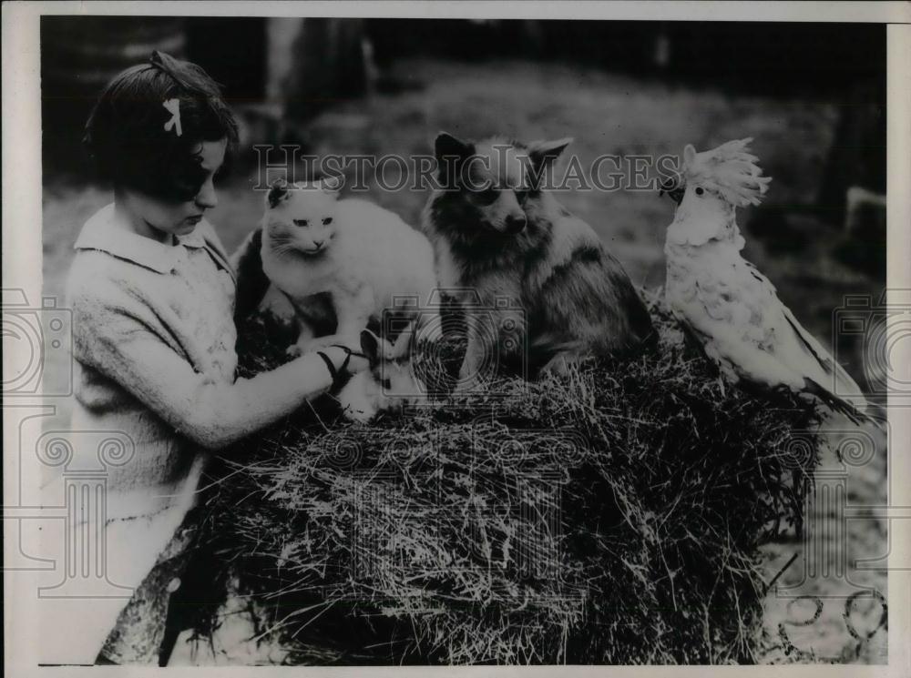 1938 Press Photo Miss Cave &amp; pets on her parents farm in London - nea25349 - Historic Images