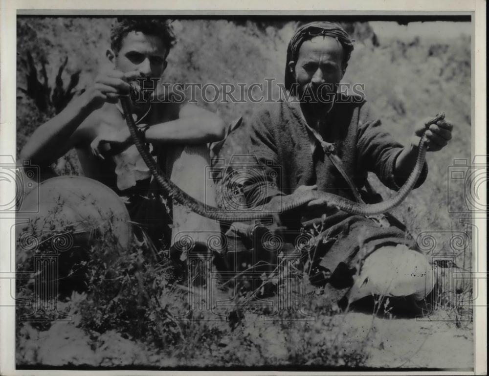 1933 Press Photo Two man holding alive Cobra. - nea27854 - Historic Images