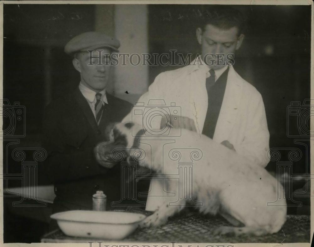 1926 Press Photo Harold Hedges, Dr. C.J. Grifin Treats Dog at City Kennels - Historic Images