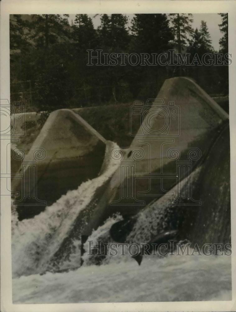 1929 Press Photo Salmon trying to leap fall - nea19573 - Historic Images