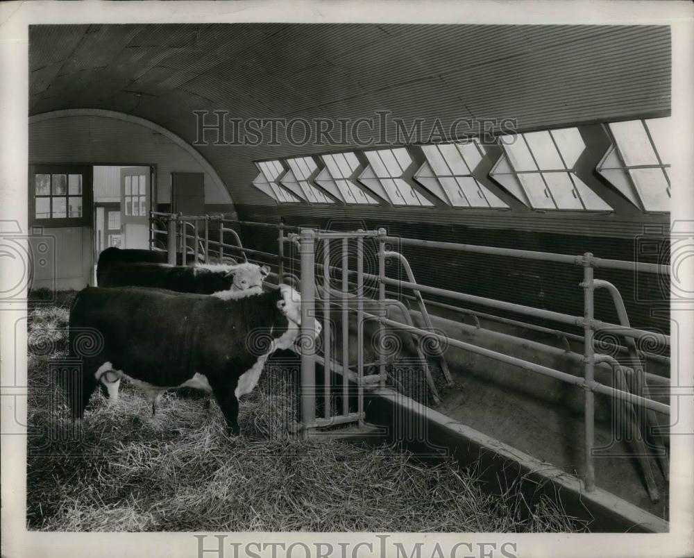 1946 Press Photo Quonset 20 Adapted as a Barn in Brighton, Michigan - nea20270 - Historic Images