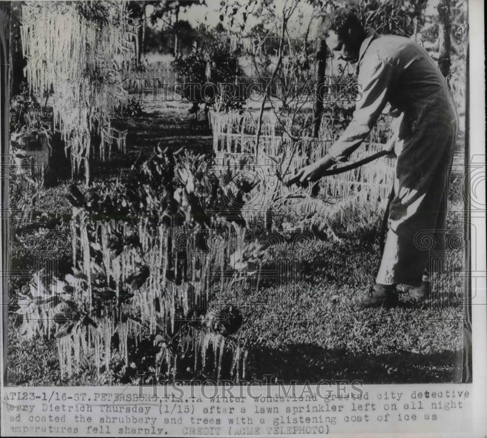 1948 Press Photo Florida Resident Left Sprinkler Left on Froze - nea28166 - Historic Images