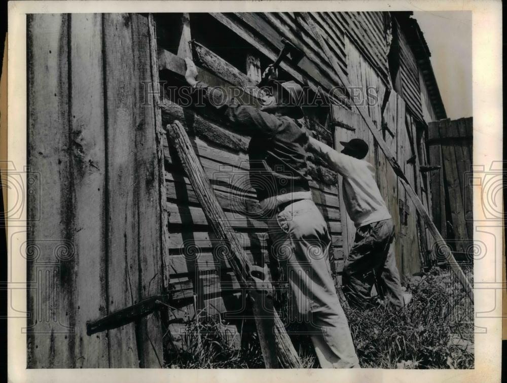 1945 Press Photo Abandoned barn being repaired to store hay - nea21072 - Historic Images