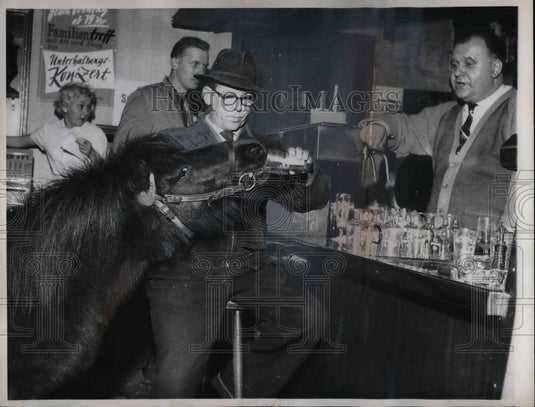 1961 Press Photo Jakob Link With Horse Of A Different Color "Jan" & Patrons - Historic Images