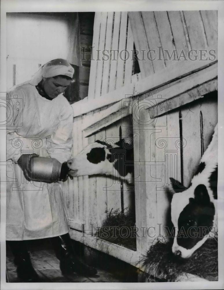 1958 Press Photo Student of Soviet Agricultural School feed Claves in Vorkuta. - Historic Images