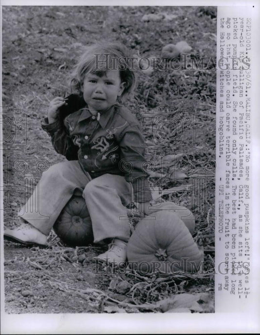 1961 Press Photo Kim Mulligan of Pacific Palisade, Cal. on Halloween pumpkin - Historic Images