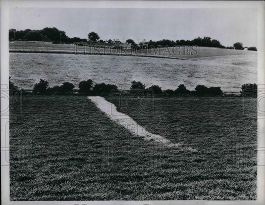 1945 Press Photo Frm field in England used for testing weed killers - nea25420 - Historic Images