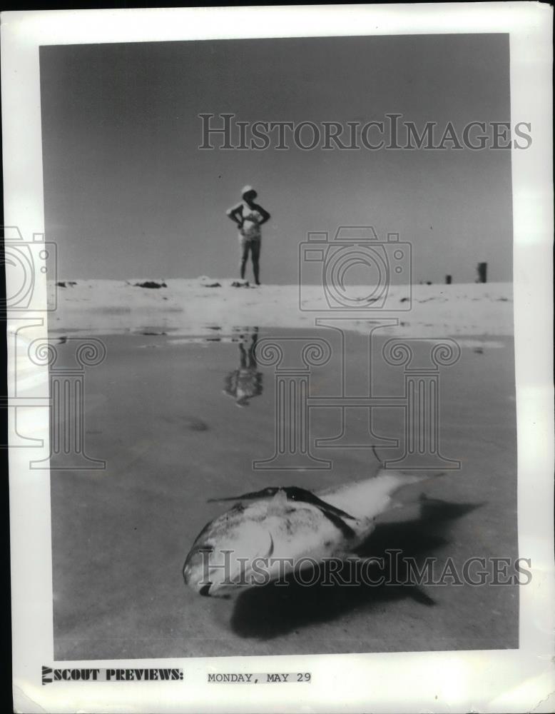 1972 Press Photo &quot;Oceans:The Silent Crisis&quot; dead fish on beach - nea30104 - Historic Images