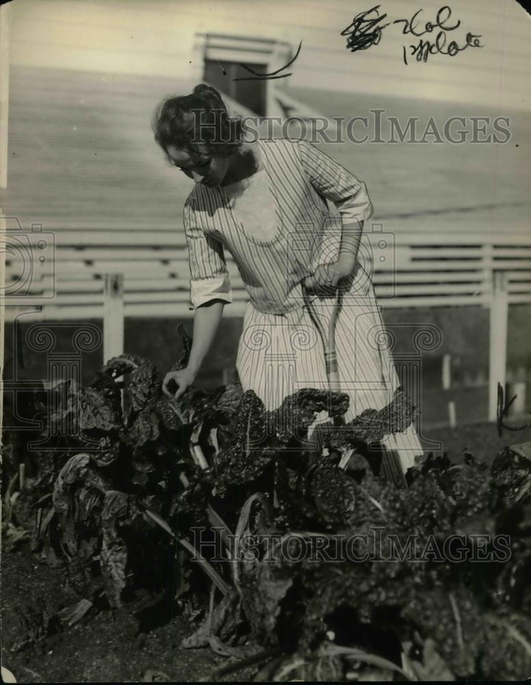 1922 Press Photo Mrs Burbank in her home garden - nea32087 - Historic Images