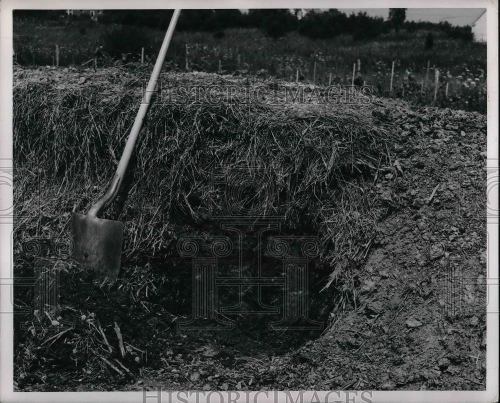 1951 Press Photo Compost Pit - nea32554 - Historic Images