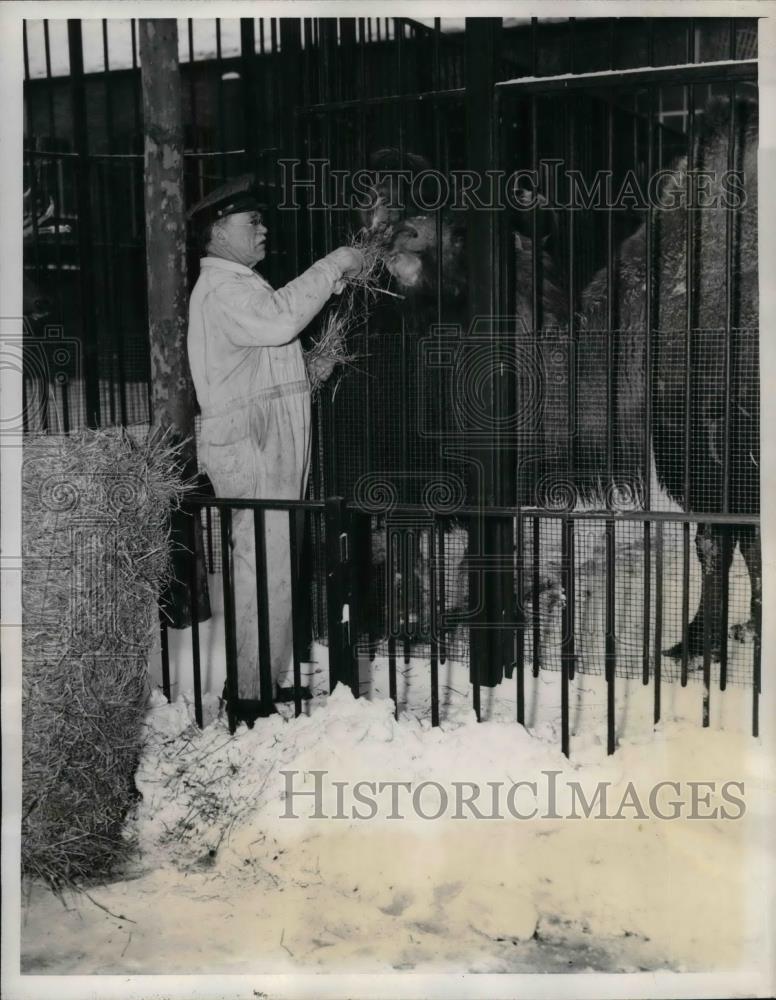 1944 Press Photo Central Park Zoo Jim Sullivan - nea33031 - Historic Images