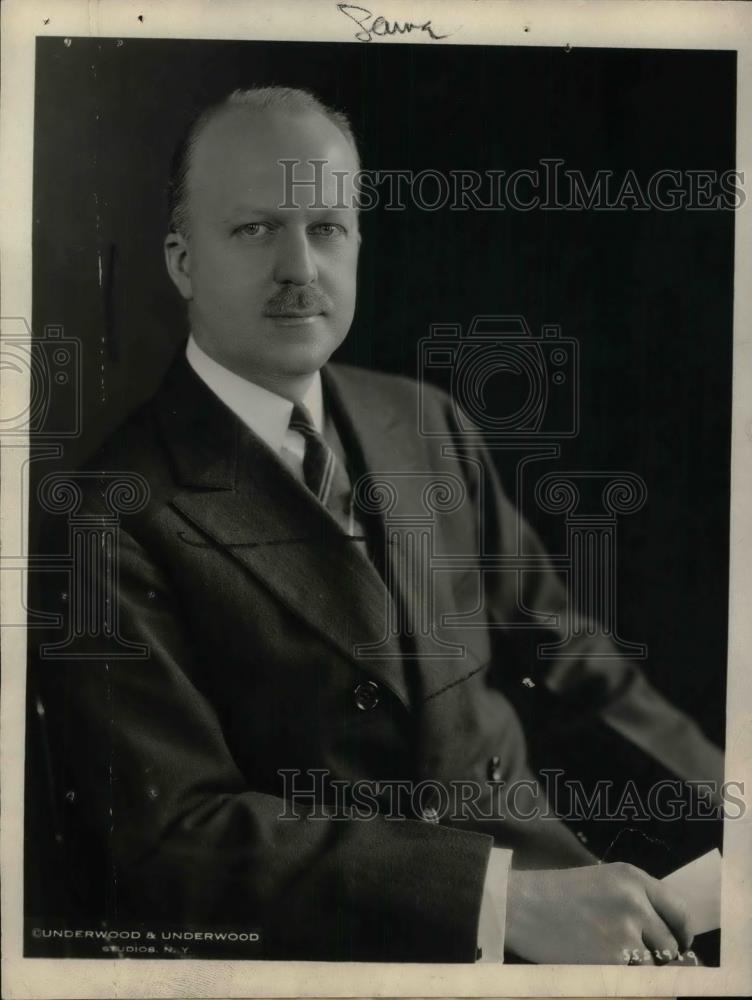 1925 Press Photo A.T. &amp; T. President Walter S Gifford - nea34123 - Historic Images