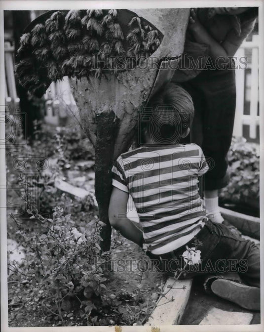 1955 Press Photo Children gather at Tomilson Garden Home Made Ostrich - Historic Images