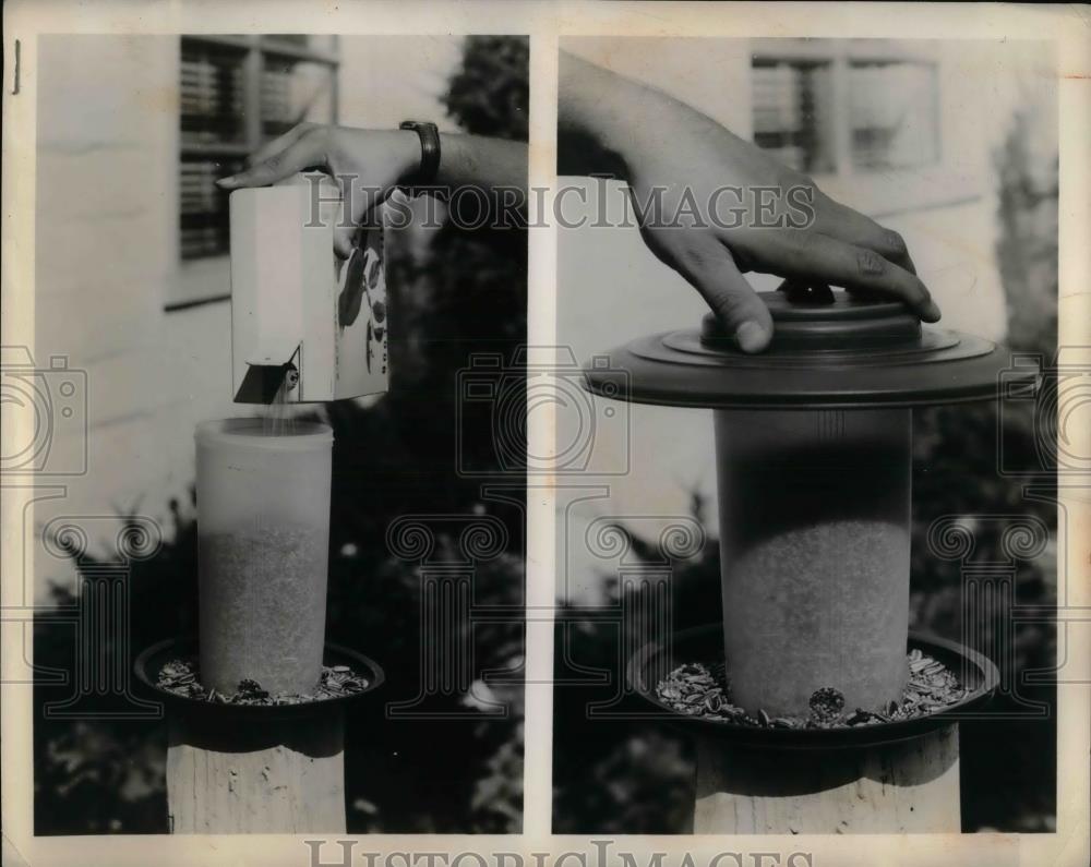 1960 Press Photo A woman filling bird feeders in her yard - nea32823 - Historic Images
