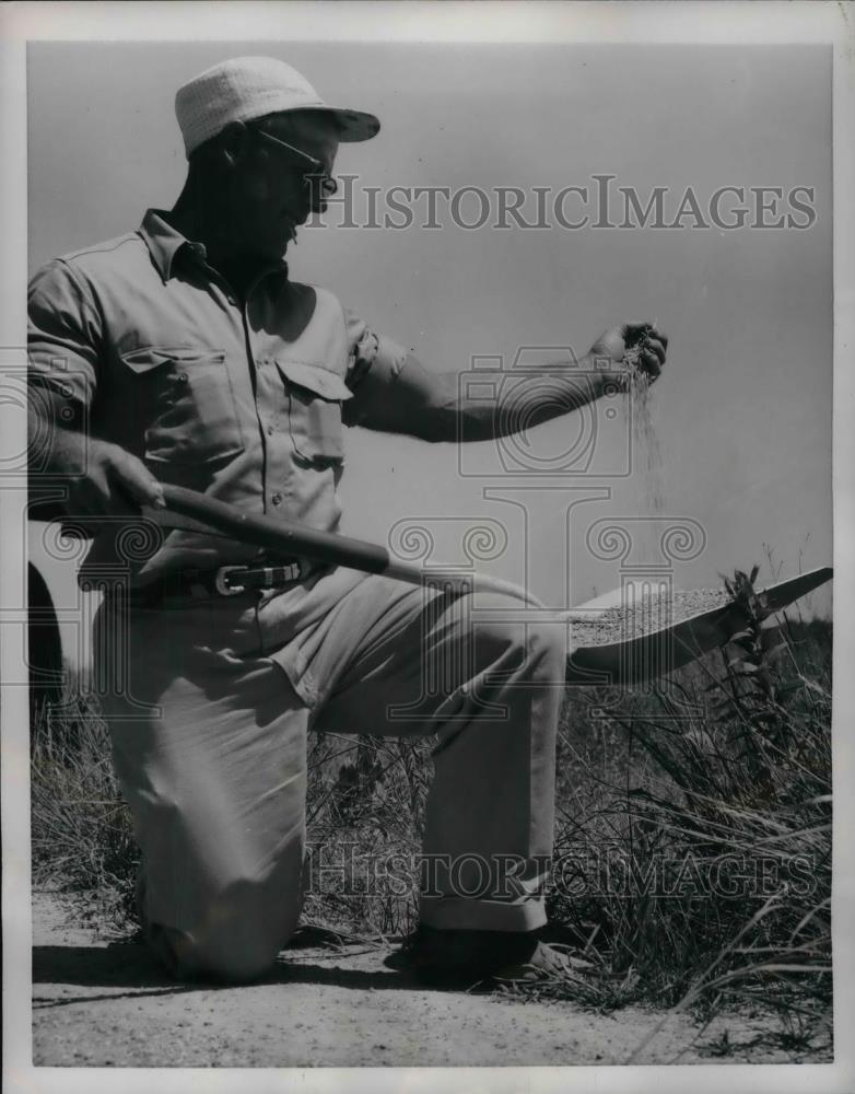 1954 Press Photo Farmer Worth Norton Showing Grains Planted On Prairie Land - Historic Images