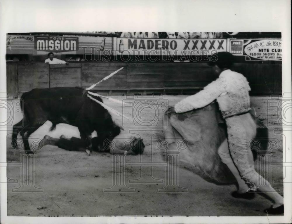 1962 Press Photo Patricia Hayes, Young Bullfighter - nea39959 - Historic Images