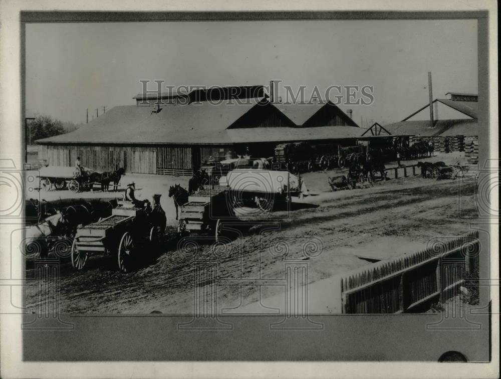 1921 Press Photo Hauling and Storing Raisins in California - nea36856 - Historic Images