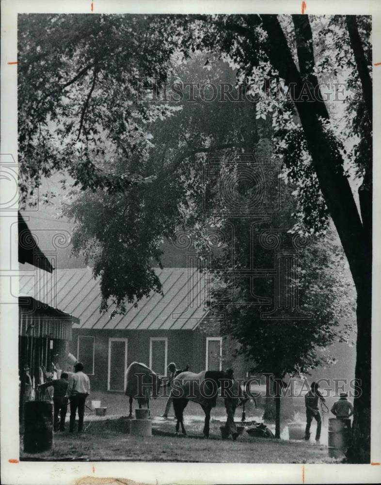 1972 Press Photo Horse Barn - nea37630 - Historic Images