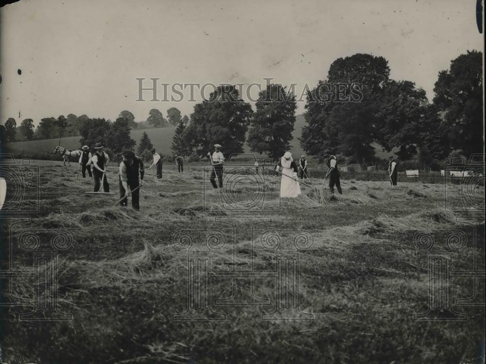 1920 Press Photo Haying on the Farm - nea36769 - Historic Images