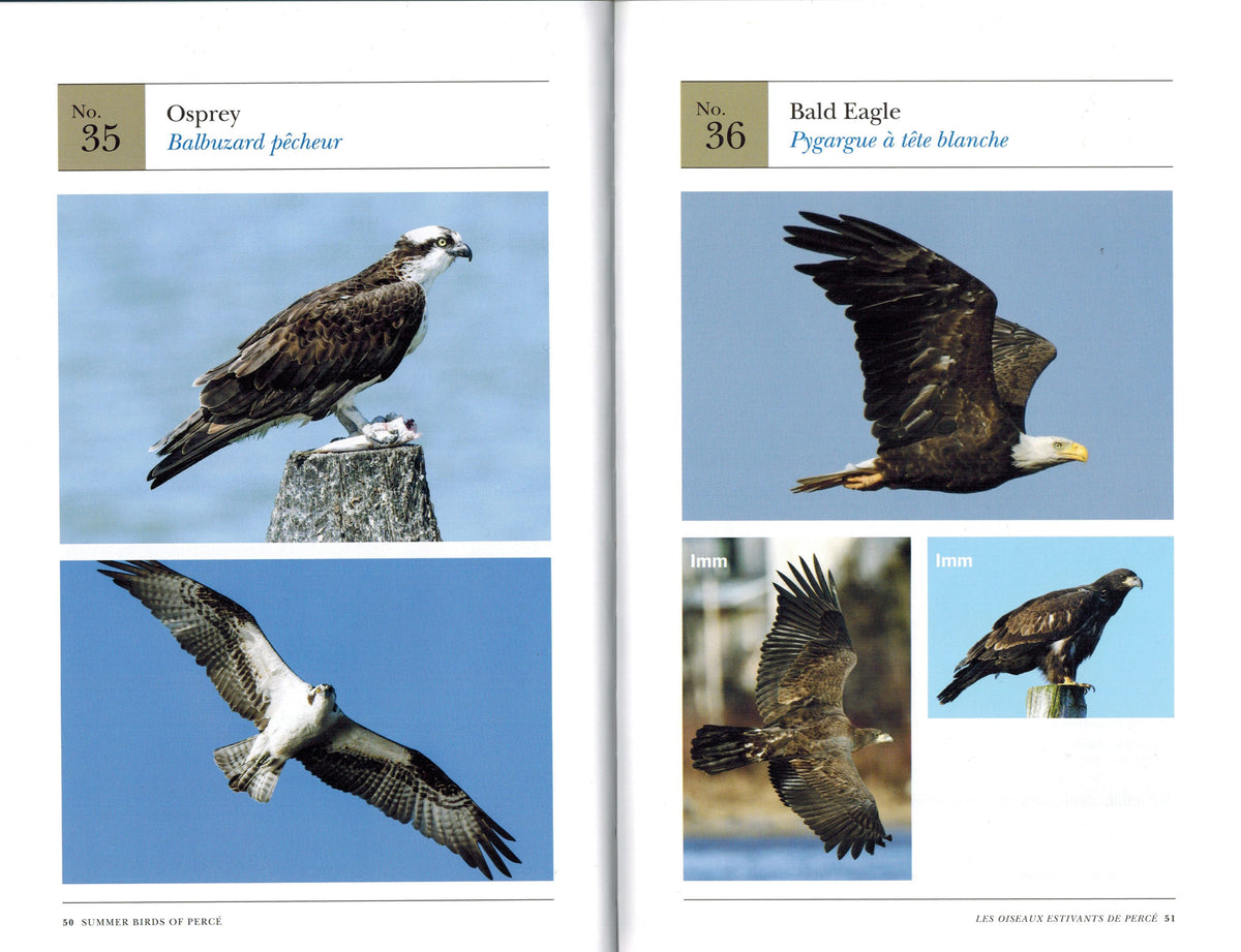 Signed Limited Edition: Summer Birds of Percé/Les Oiseaux Estivants de Percé