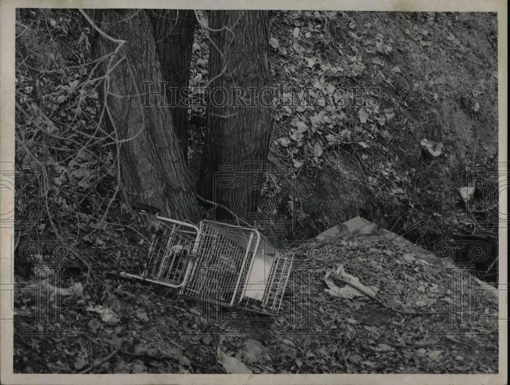 1960 Press Photo Cartnapers dumped Cart at Washington-Staunton, Cedar. - Historic Images