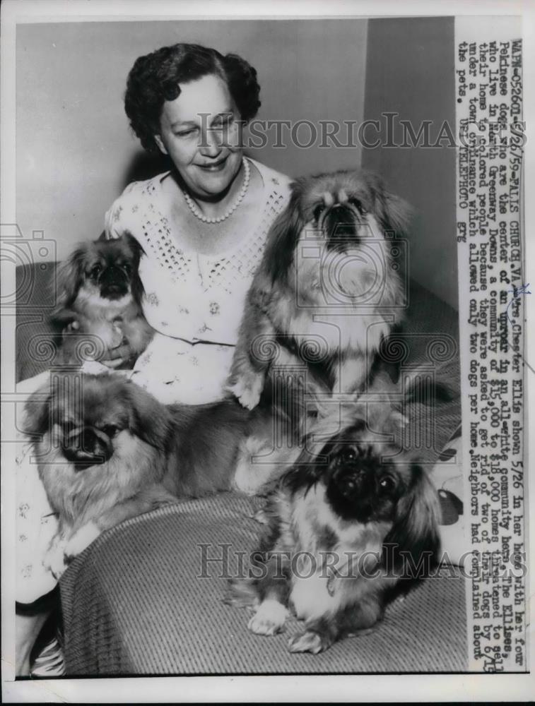 1959 Press Photo Mrs. Chester Ellis with her dogs - nea36992 - Historic Images