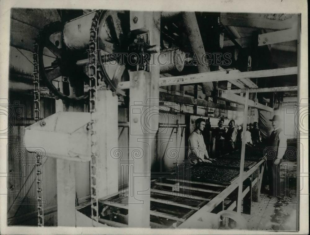 1921 Press Photo Raisins Going to the Seeder - nea36857 - Historic Images