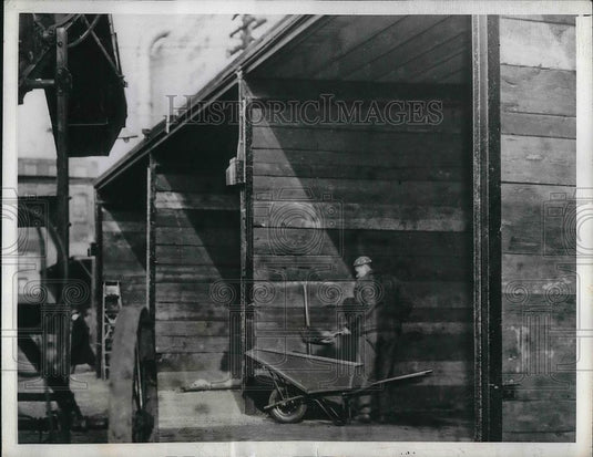 1943 Press Photo depleted coal yards at Berenato and Son of Philadelphia - Historic Images