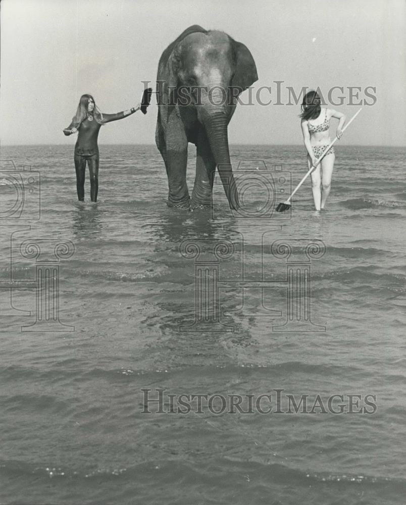 Press Photo Bathing the Zoo Elephant in the Ocean - Historic Images