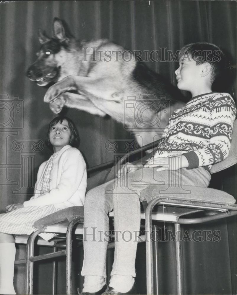 1964 Press Photo Police Dog Boy demonstrates his jumping abilities - Historic Images