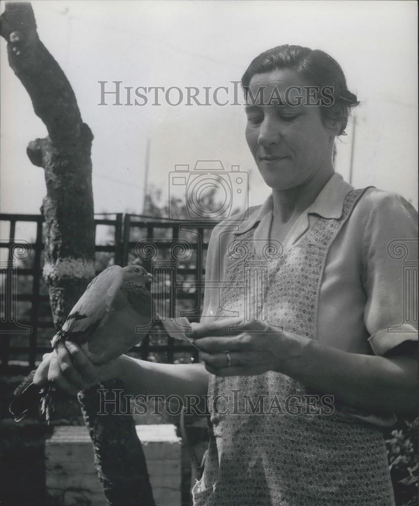 Press Photo Mrs. Swindells Son John's Pet Carrier Pigeons Reads Message Home - Historic Images