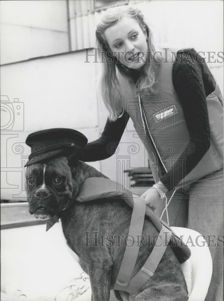 1973 Press Photo Life saving vests for dogs - Historic Images