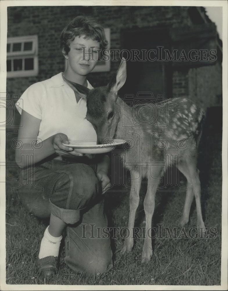 1957 Press Photo Milk for the baby Fawn - Historic Images