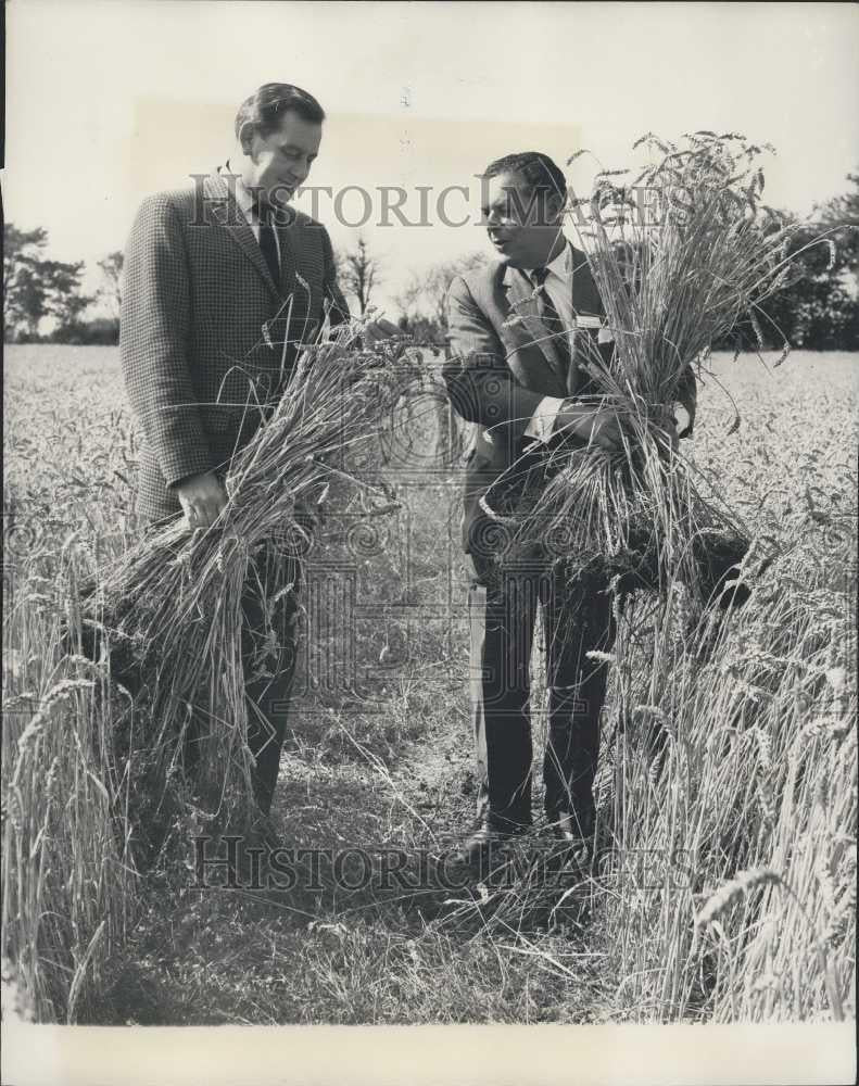 1966 Press Photo Dr. Harry Hurst &amp; electro-activated rye-grass - Historic Images