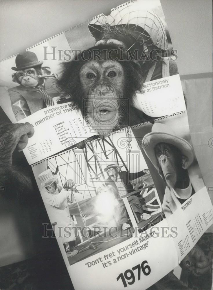 Press Photo Noddy the chimp and advertisements - Historic Images