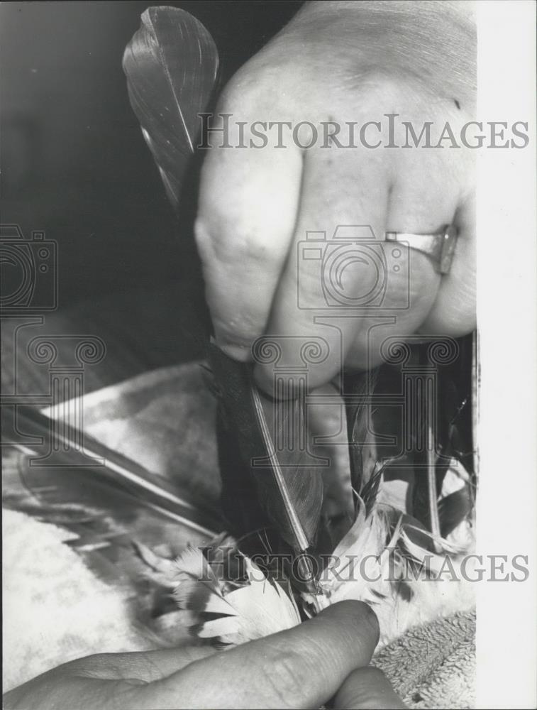 Press Photo Needle, Replacement Feathers - Historic Images