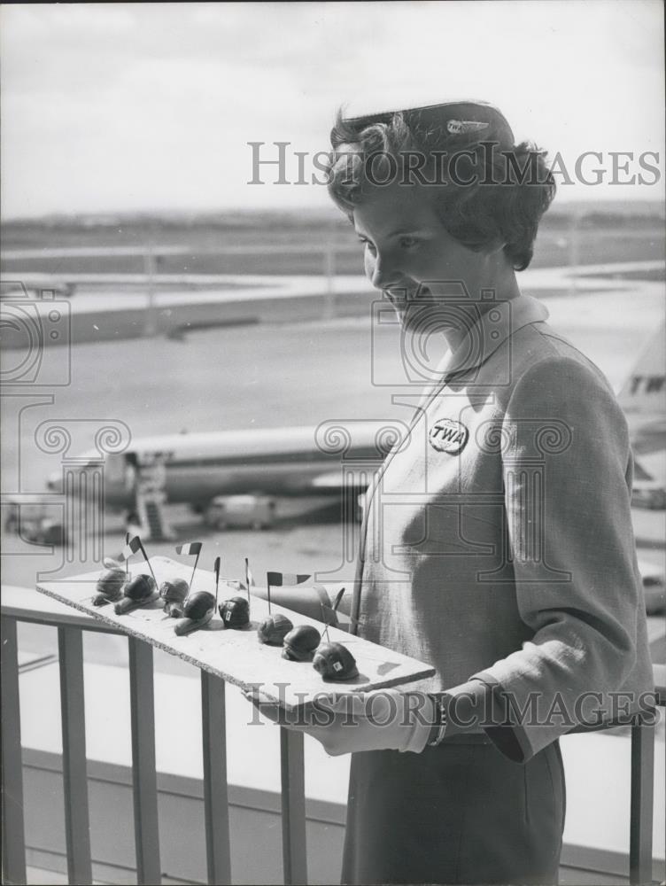 1961 Press Photo Snail racers on their way to the International Snail Derby - Historic Images