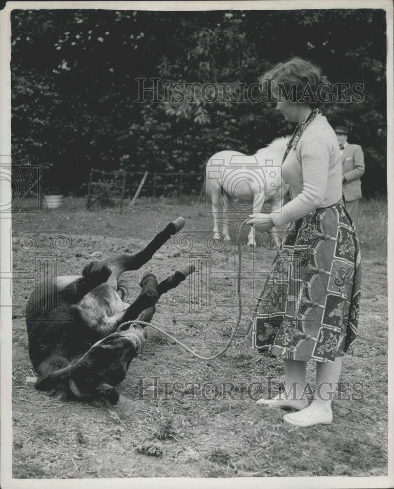 1953 Press Photo "Neddy" the donkey and Gillian Dupes - Historic Images