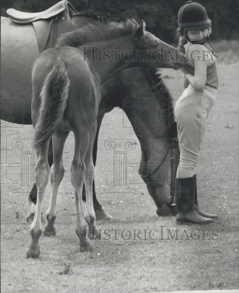 Press Photo 6 Year Old Andrea Stanyer Gets Nudge From Her Pony &quot;Flicker&quot; - Historic Images