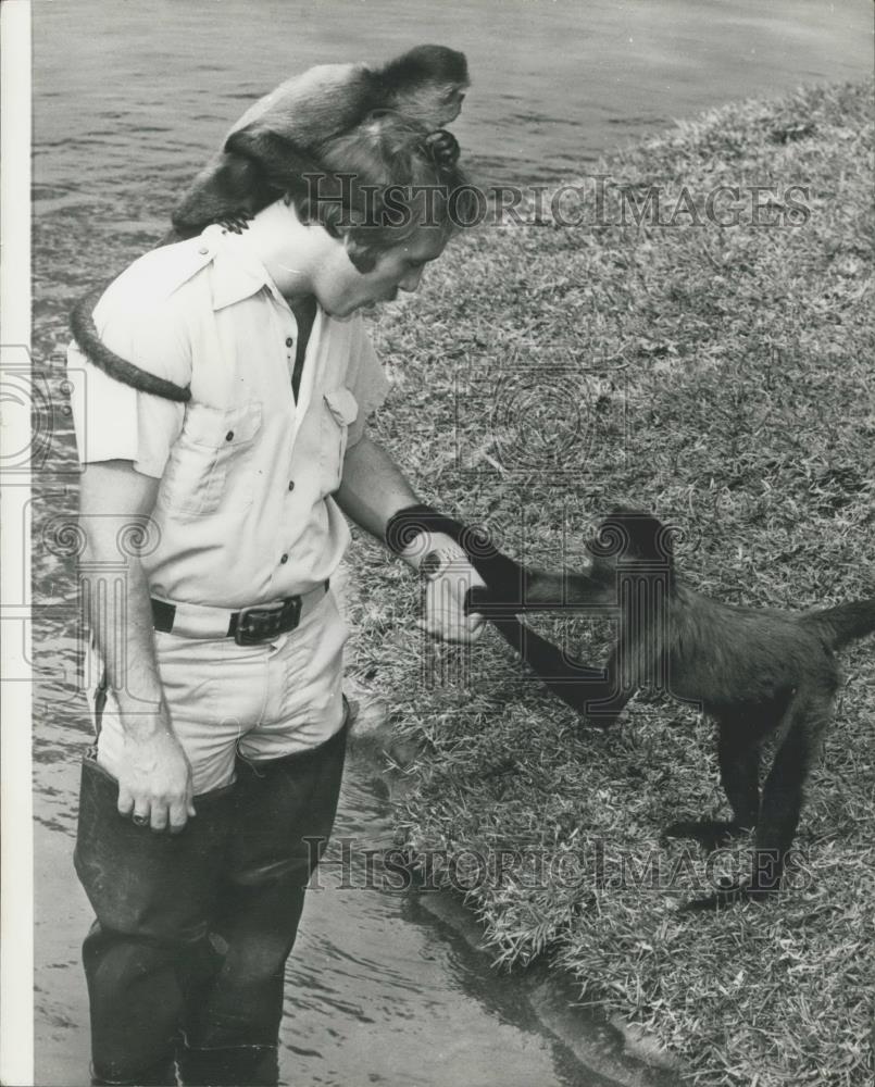 Press Photo Joe Blanc and his spider monkeys - Historic Images