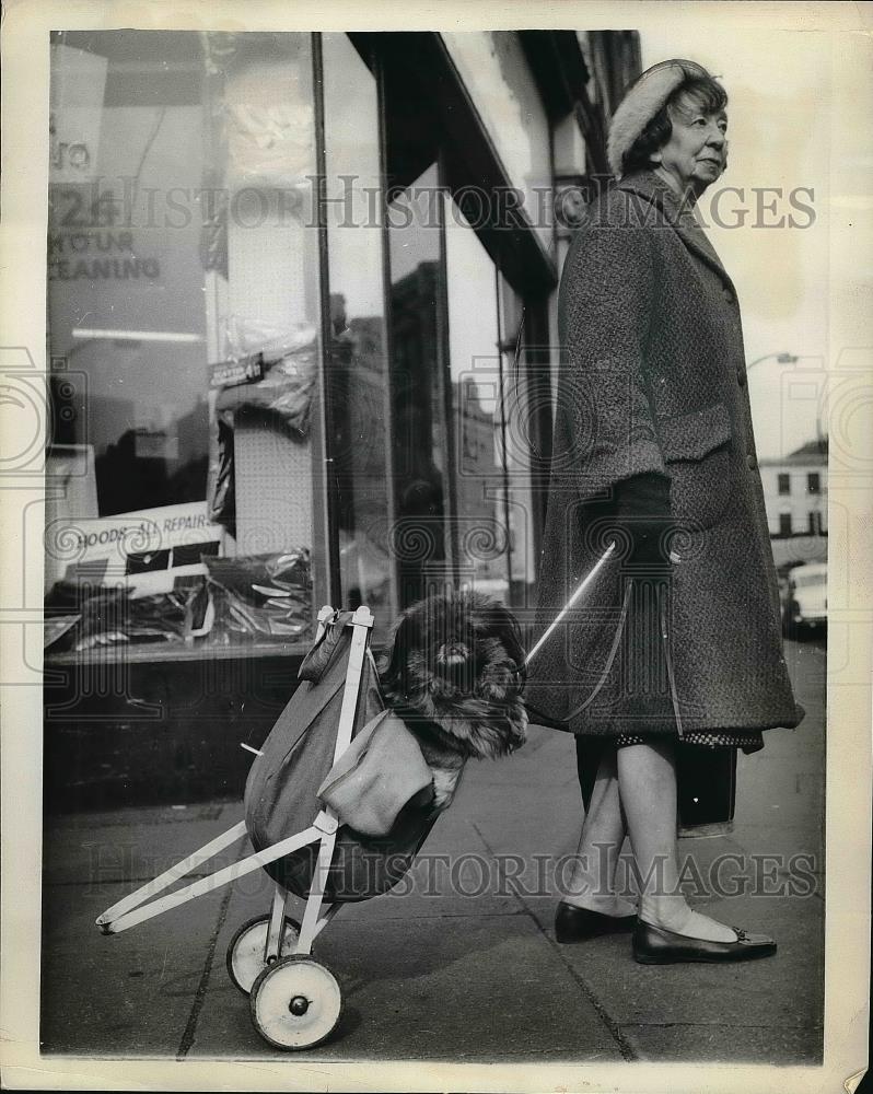 1962 Press Photo Mrs E. Atwood & Her Dog Going Shopping - nea48211 - Historic Images