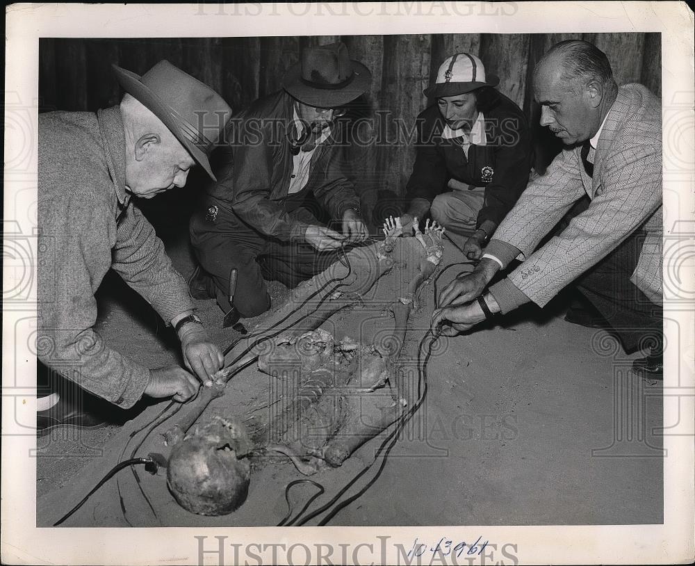 1953 Press Photo NY Reynolds,Giffords, Veeder with archeology remains - Historic Images