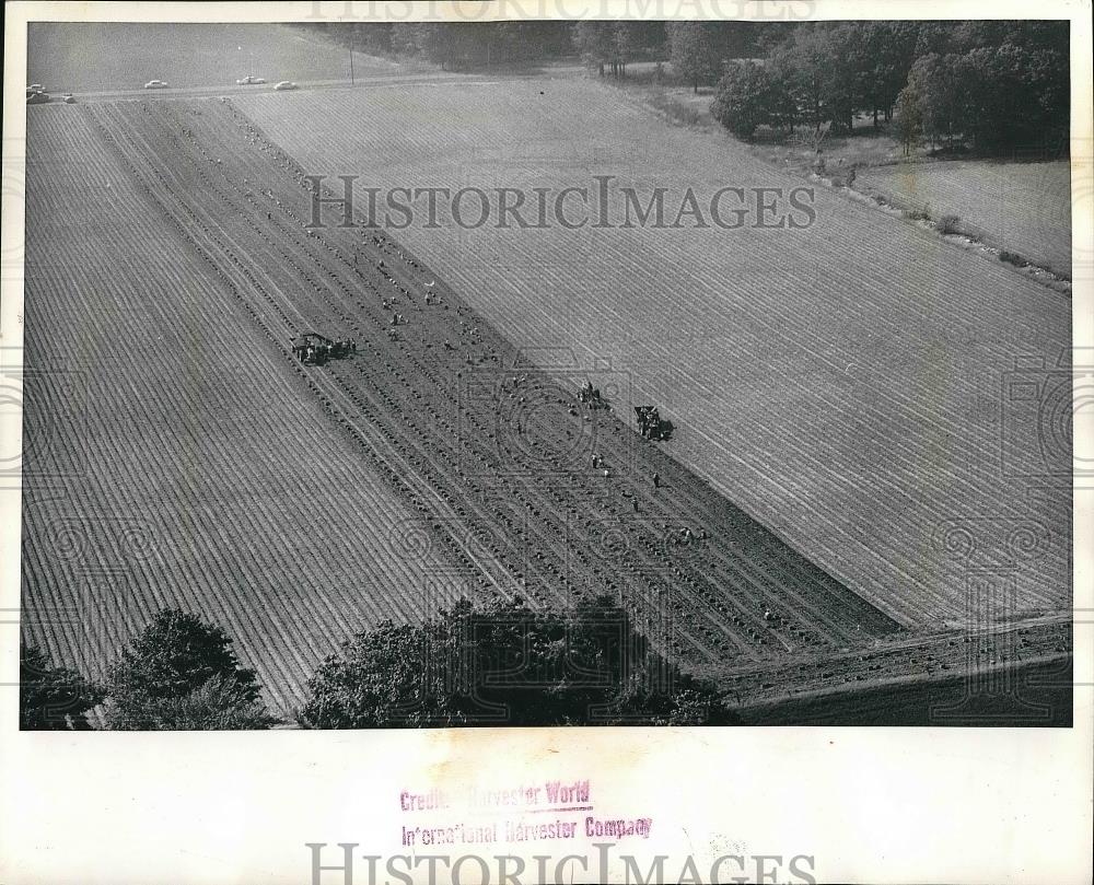 1961 Press Photo Ed Anderson&#39;s potato field. - nea48421 - Historic Images