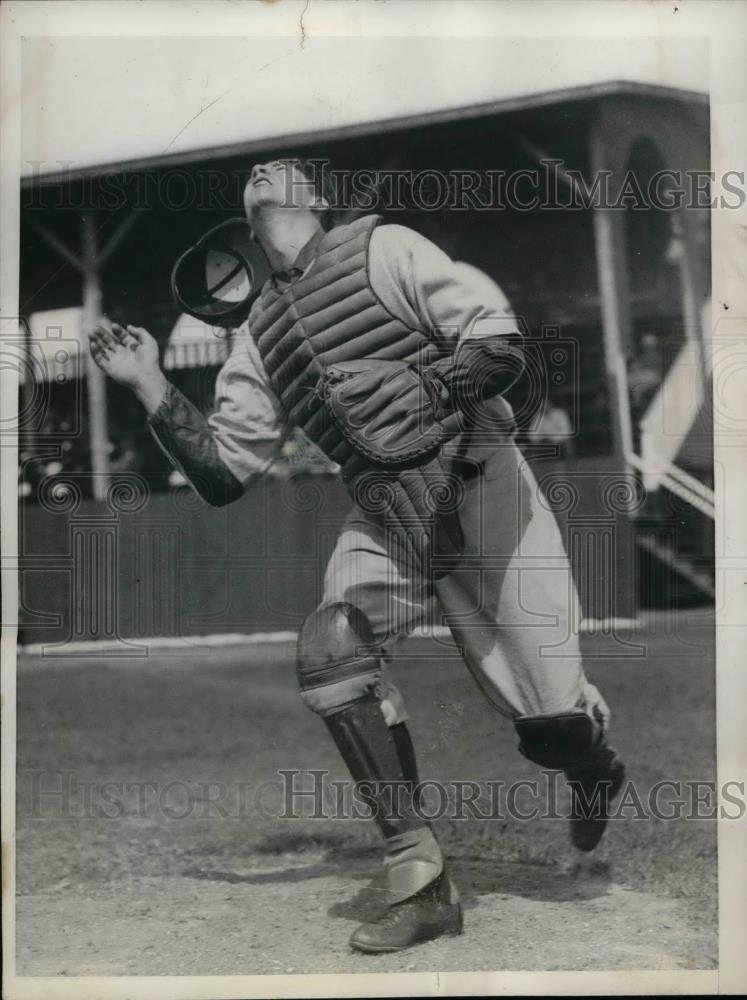 1936 Press Photo George Dickey Catcher Boston Red Sox Spring Training Camp MLB - Historic Images