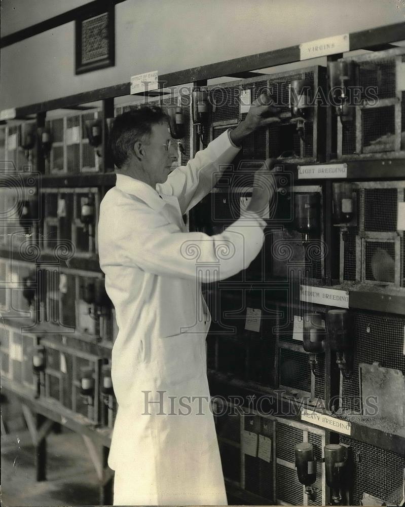 1924 Press Photo Professor Slonaker &amp; rats in his labs - Historic Images