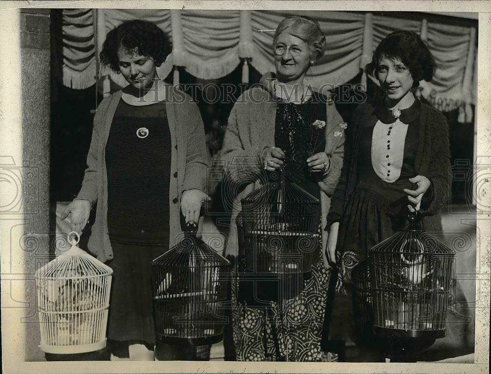 1929 Press Photo heroic trio save canaries from burning pet store - nea53125 - Historic Images