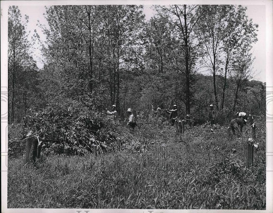 1963 Press Photo People cleaning up a parkway that is through the Rocky River - Historic Images