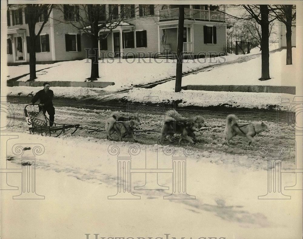 1929 Press Photo Alexander Doucette Snow Dogs - nea53128 - Historic Images