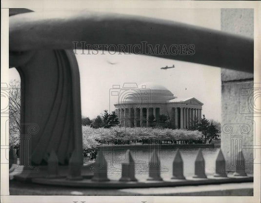 1954 Press Photo Cherry blossoms blooming around Jefferson Memorial - nea56762 - Historic Images