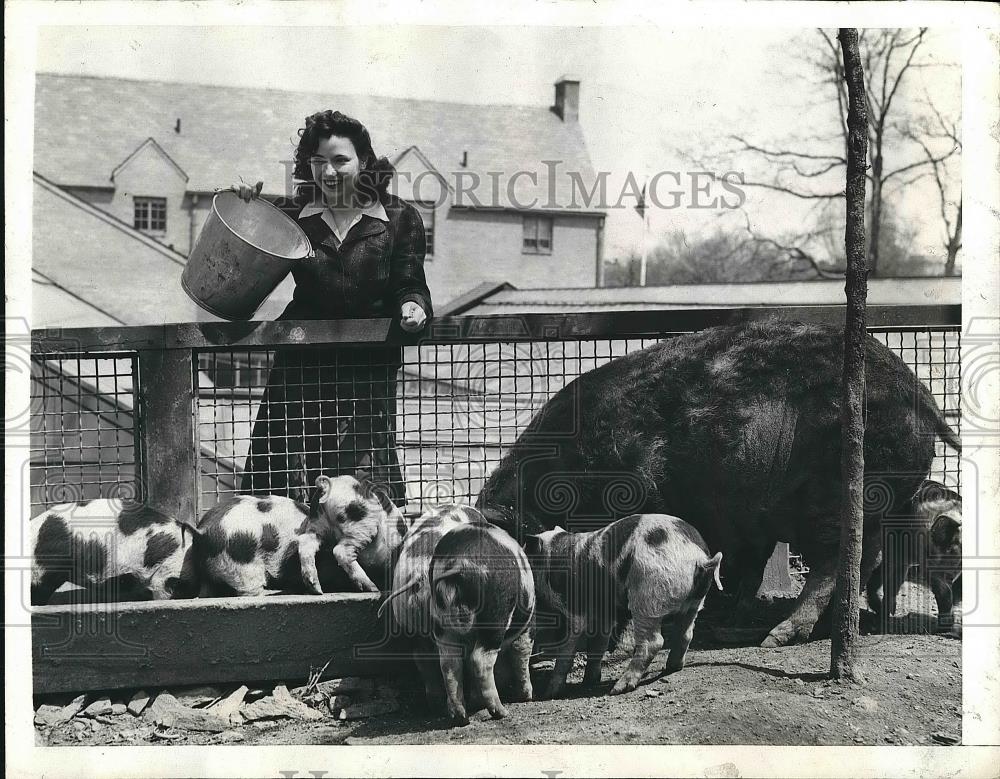 1943 Press Photo Jean Kane, 15, feeds litter of husky pigs, New York City - Historic Images